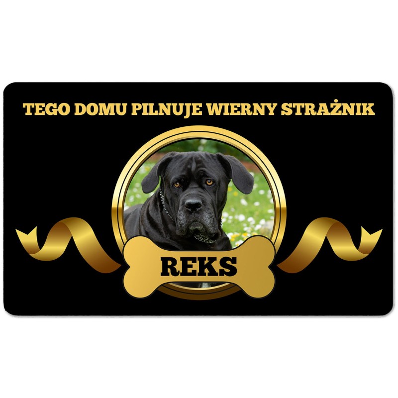 Personalizowana Wycieraczka pod drzwi 45x75 Obrońca