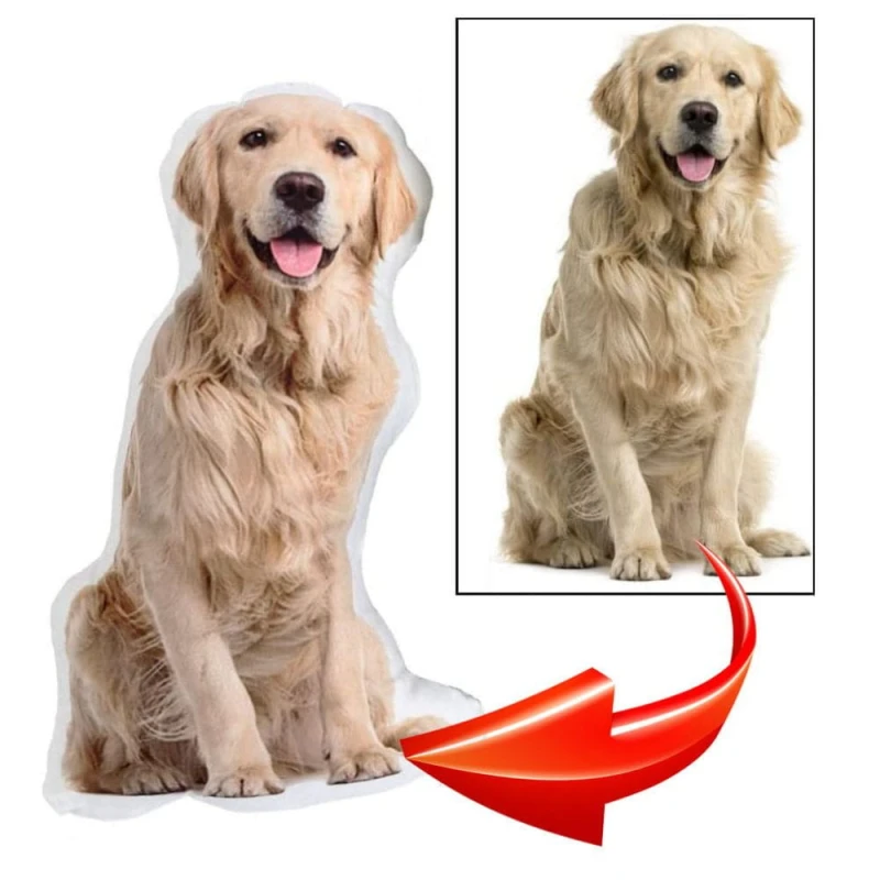 Foto Poduszka 3D z Twoim pupilem | Pies, Kot