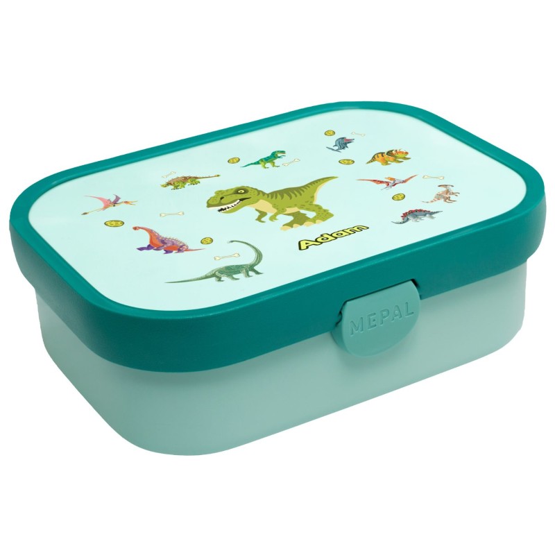 DINOKI BOX.jpg