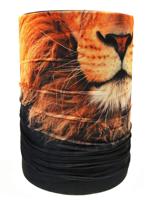 Lion.JPG